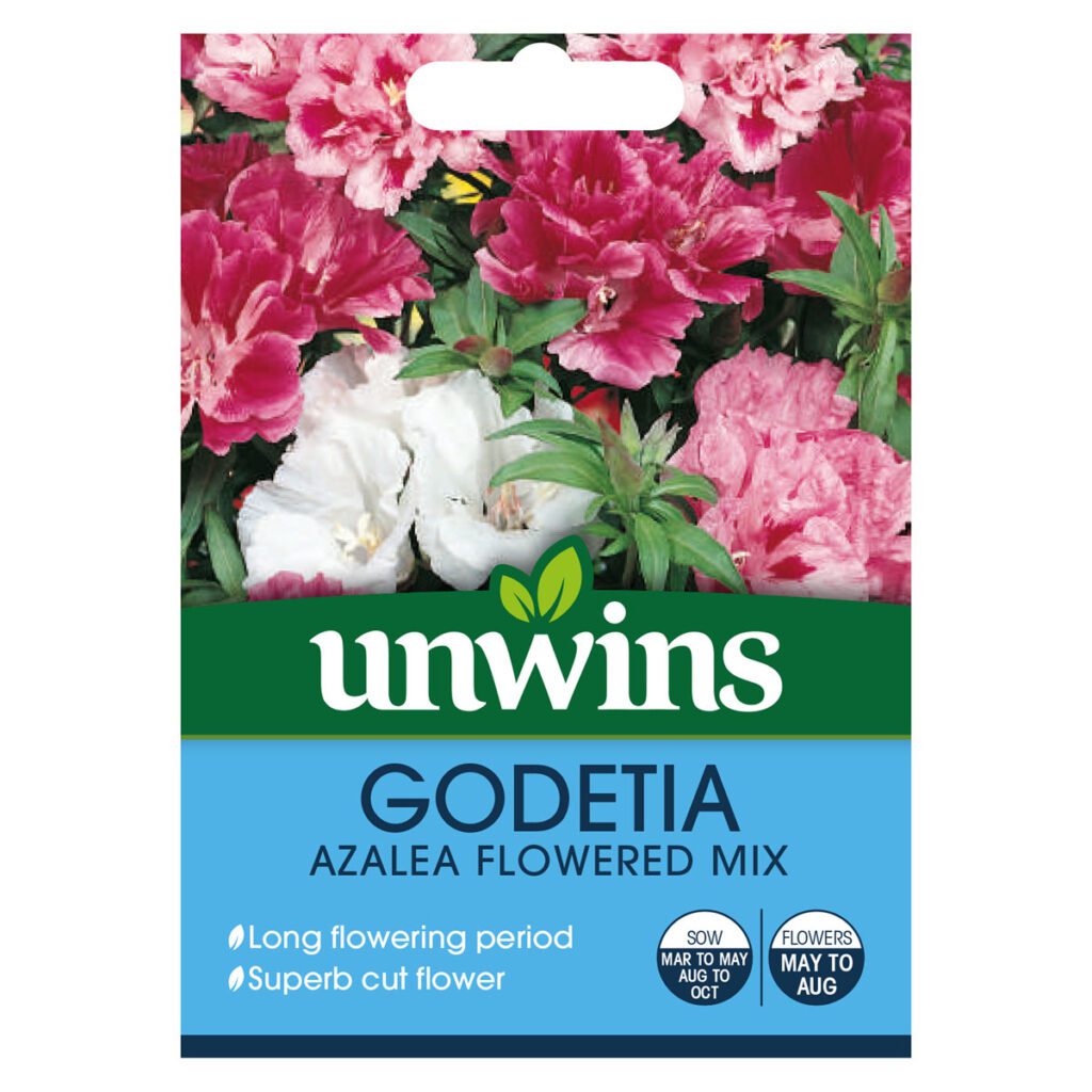 Unwins Godetia Azalea Flowered Mixed Seeds 5051618010962 2